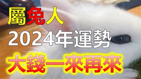 2024兔寶寶|一文全知道！屬兔之人，2024年運勢全盤解析！